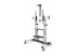 StarTech.com Rolling TV Cart/Stand On Wheels, Up to 100inch/220lb Screens - Høyre vinkel
